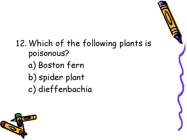 12. Which of the following plants is poisonous? a) Boston fern b) spider plant 12. Which of the following plants is poisonous? a) Boston fern b) spider plant