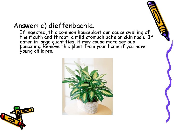 Answer: c) dieffenbachia. If ingested, this common houseplant can cause swelling of the mouth Answer: c) dieffenbachia. If ingested, this common houseplant can cause swelling of the mouth