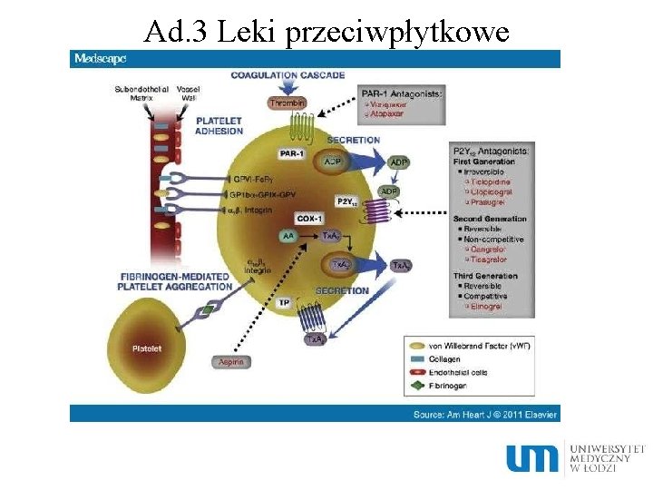 Ad. 3 Leki przeciwpłytkowe 