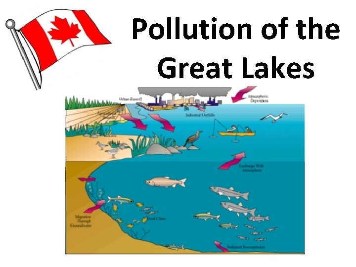 Pollution of the Great Lakes Pollution of the Great Lakes