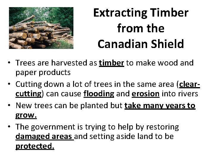 Extracting Timber from the Canadian Shield • Trees are harvested as timber to make Extracting Timber from the Canadian Shield • Trees are harvested as timber to make
