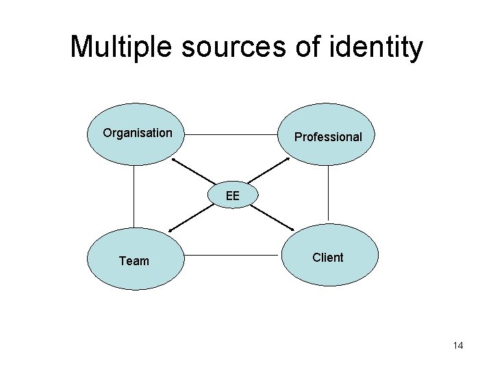 Multiple sources of identity Organisation Professional EE Team Client 14 