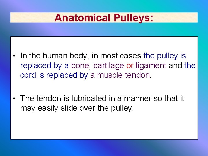 Anatomical Pulleys: • In the human body, in most cases the pulley is replaced