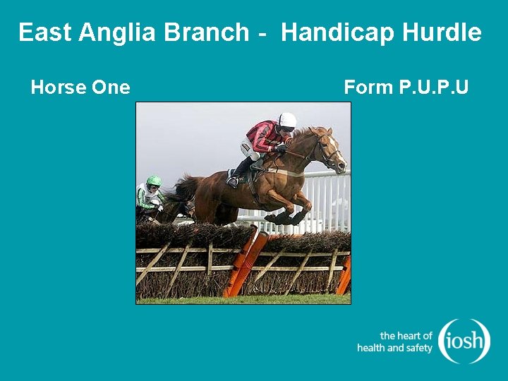 East Anglia Branch - Handicap Hurdle Horse One Form P. U 