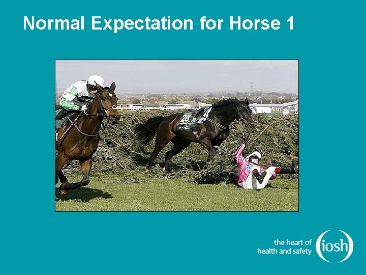Normal Expectation for Horse 1 