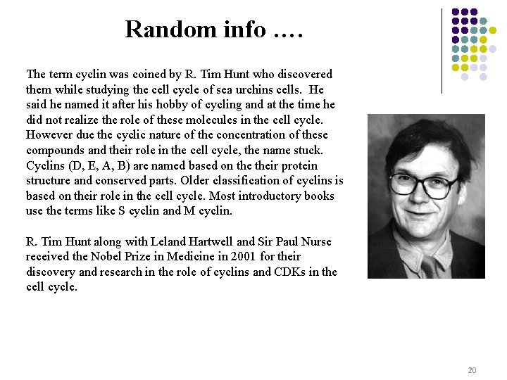 Random info …. The term cyclin was coined by R. Tim Hunt who discovered