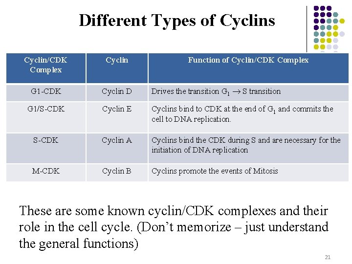 Different Types of Cyclins Cyclin/CDK Complex Cyclin Function of Cyclin/CDK Complex G 1 -CDK