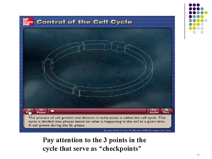 What Controls the Cell Cycle? Pay attention to the 3 points in the cycle