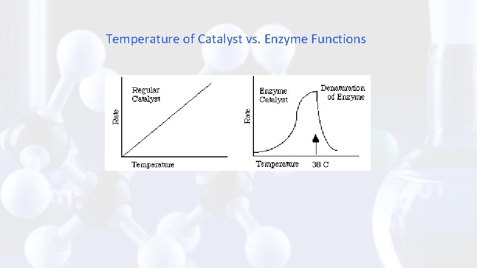 Temperature of Catalyst vs. Enzyme Functions 