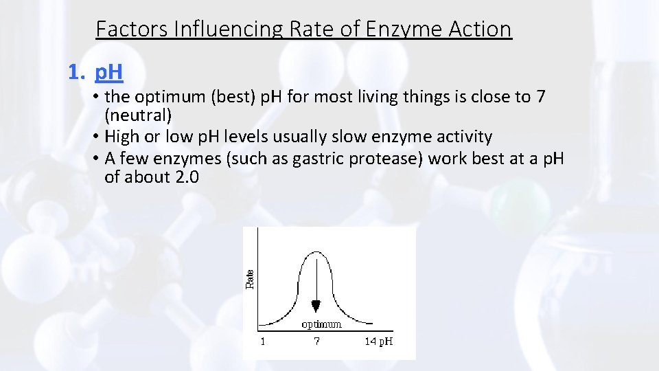 Factors Influencing Rate of Enzyme Action 1. p. H • the optimum (best) p.