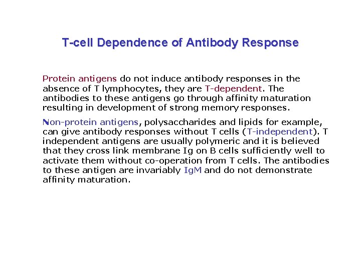 T-cell Dependence of Antibody Response Protein antigens do not induce antibody responses in the