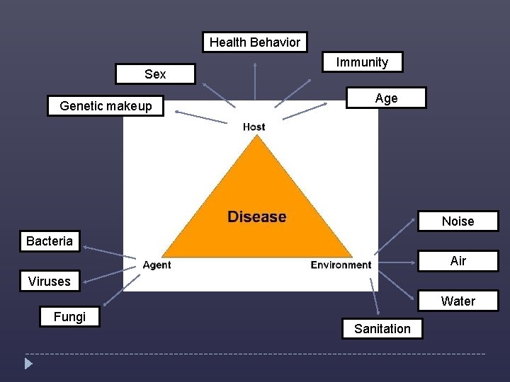 Health Behavior Sex Genetic makeup Immunity Age Noise Bacteria Air Viruses Water Fungi Sanitation