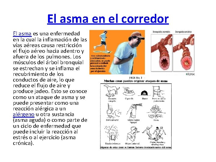 El asma en el corredor El asma es una enfermedad en la cual la