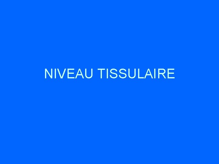 NIVEAU TISSULAIRE 