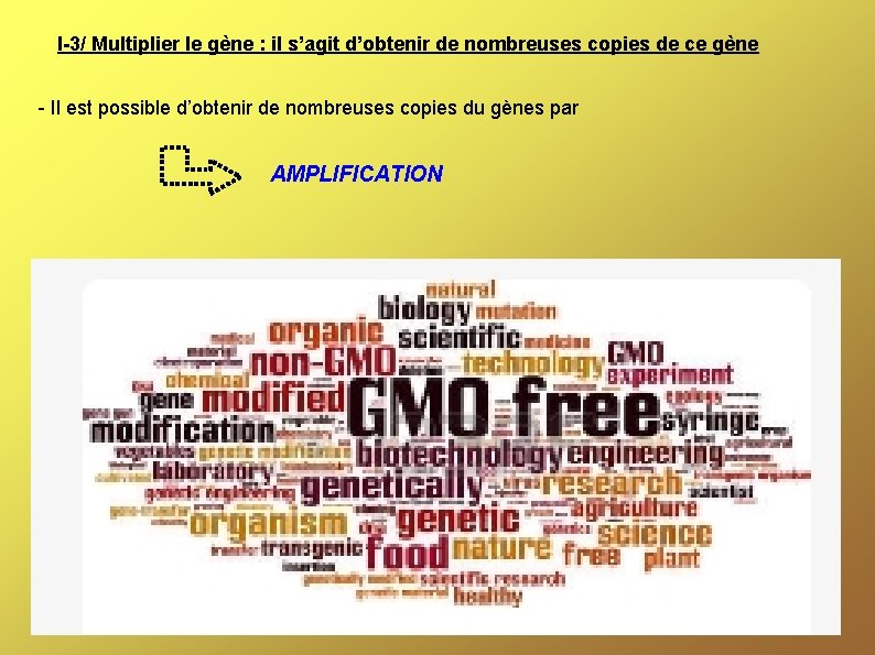 I-3/ Multiplier le gène : il s’agit d’obtenir de nombreuses copies de ce gène