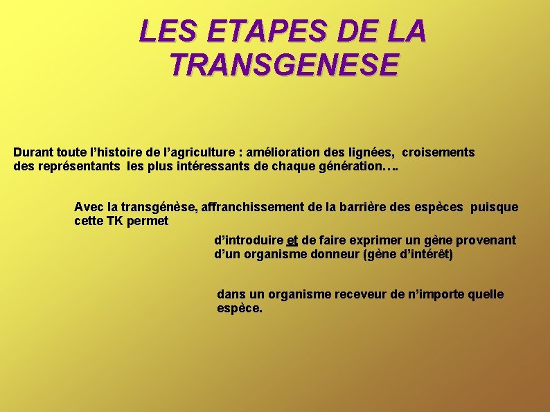 LES ETAPES DE LA TRANSGENESE Durant toute l’histoire de l’agriculture : amélioration des lignées,