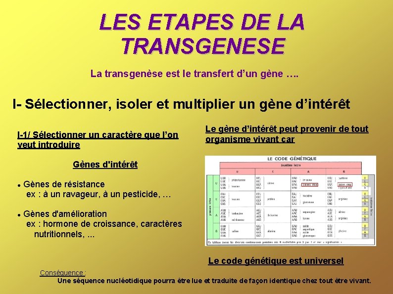 LES ETAPES DE LA TRANSGENESE La transgenèse est le transfert d’un gène …. I-