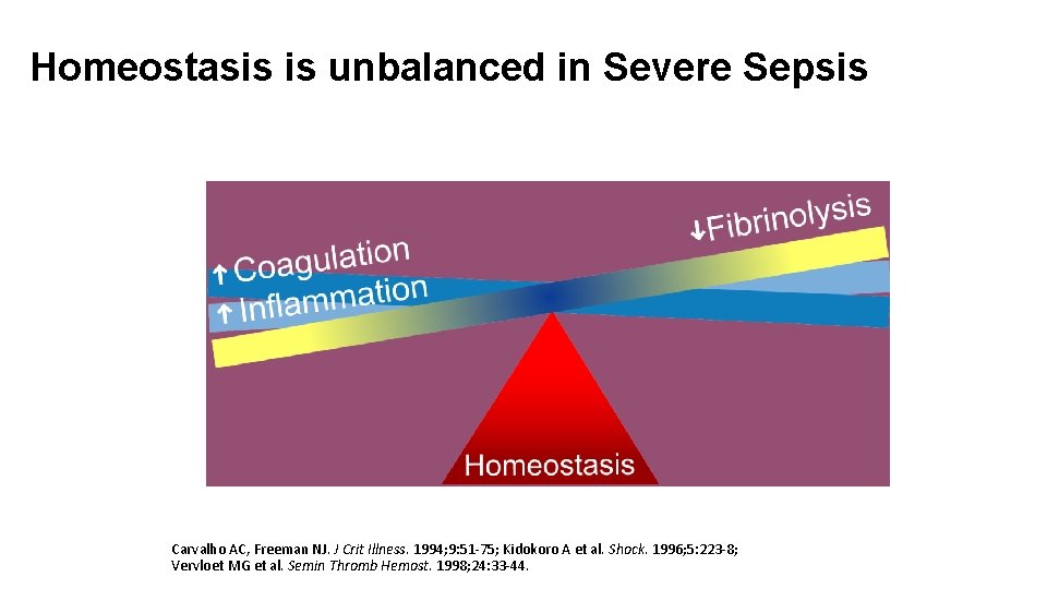 Homeostasis is unbalanced in Severe Sepsis Carvalho AC, Freeman NJ. J Crit Illness. 1994;