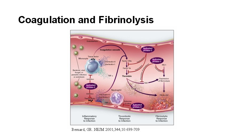 Coagulation and Fibrinolysis Bernard, GR. NEJM 2001; 344; 10: 699 -709 