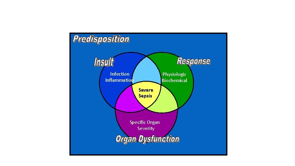 Infection Inflammation Physiologic Biochemical Severe Sepsis Specific Organ Severity 