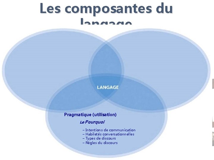Les composantes du langage Pragmatique (utilisation) Le Pourquoi – Intentions de communication – Habiletés