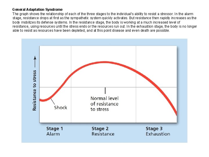 General Adaptation Syndrome The graph shows the relationship of each of the three stages