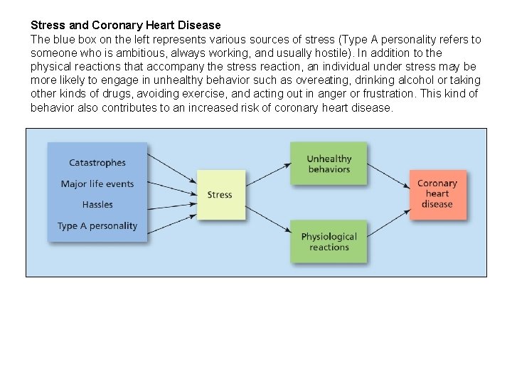 Stress and Coronary Heart Disease The blue box on the left represents various sources