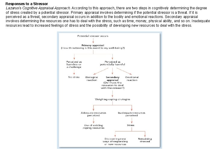 Responses to a Stressor Lazarus’s Cognitive Appraisal Approach. According to this approach, there are