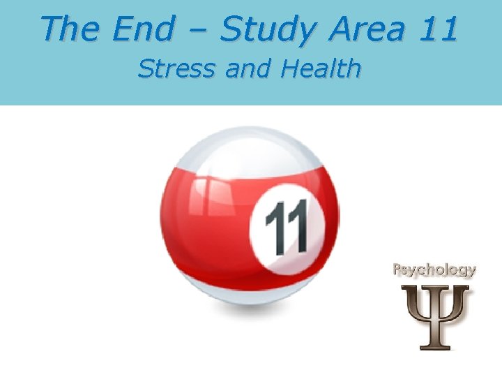 The End – Study Area 11 Stress and Health 