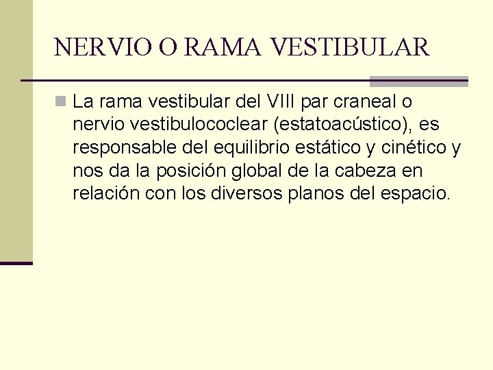 NERVIO O RAMA VESTIBULAR n La rama vestibular del VIII par craneal o nervio NERVIO O RAMA VESTIBULAR n La rama vestibular del VIII par craneal o nervio