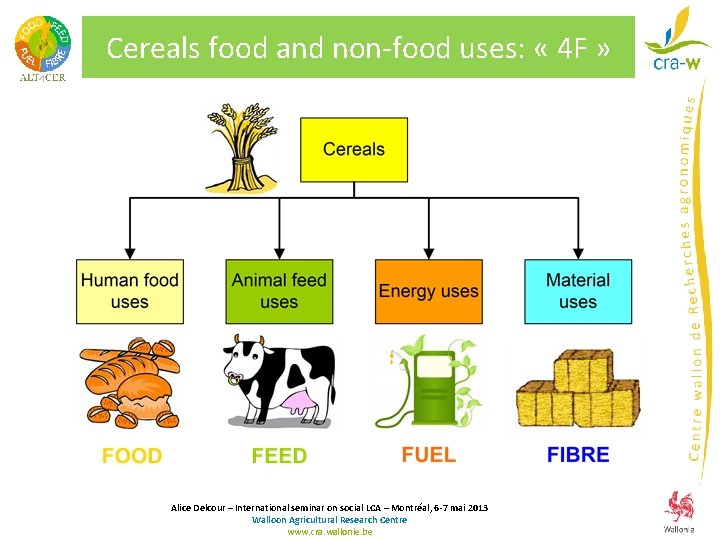 Cereals food and non-food uses: « 4 F » Alice Delcour – International seminar Cereals food and non-food uses: « 4 F » Alice Delcour – International seminar