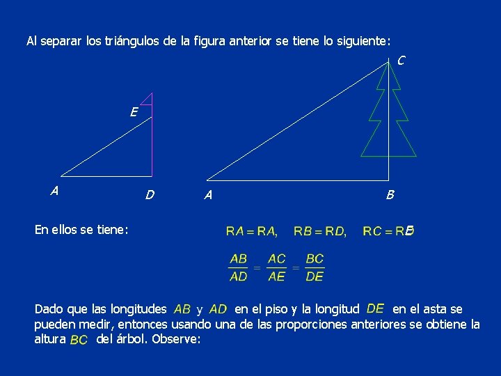 Al separar los triángulos de la figura anterior se tiene lo siguiente: C E