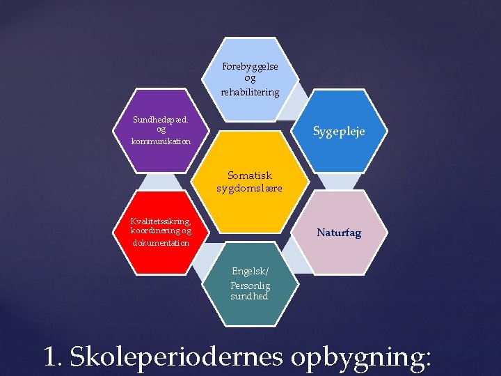 Forebyggelse og rehabilitering Sundhedspæd. og kommunikation Sygepleje Somatisk sygdomslære Kvalitetssikring, koordinering og dokumentation Naturfag