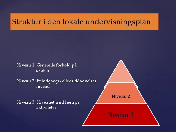 Struktur i den lokale undervisningsplan Niveau 1: Generelle forhold på skolen Niveau 2: Et