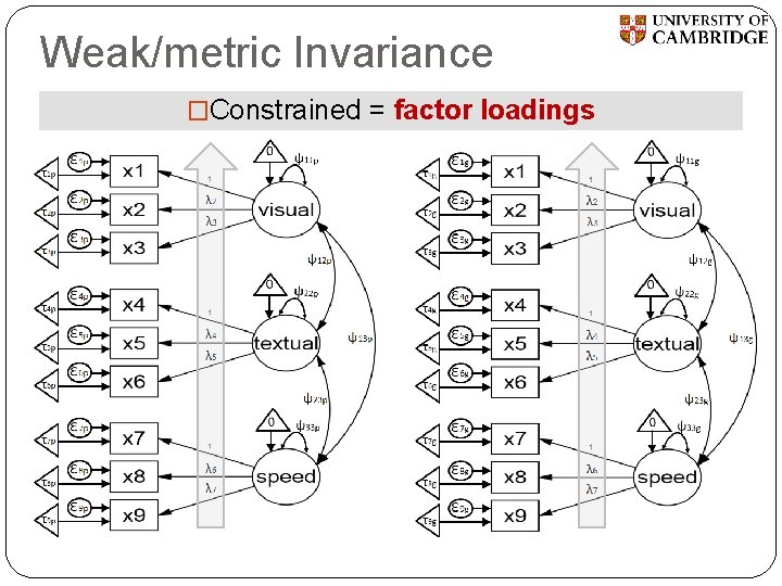 Weak/metric Invariance �Constrained = factor loadings 