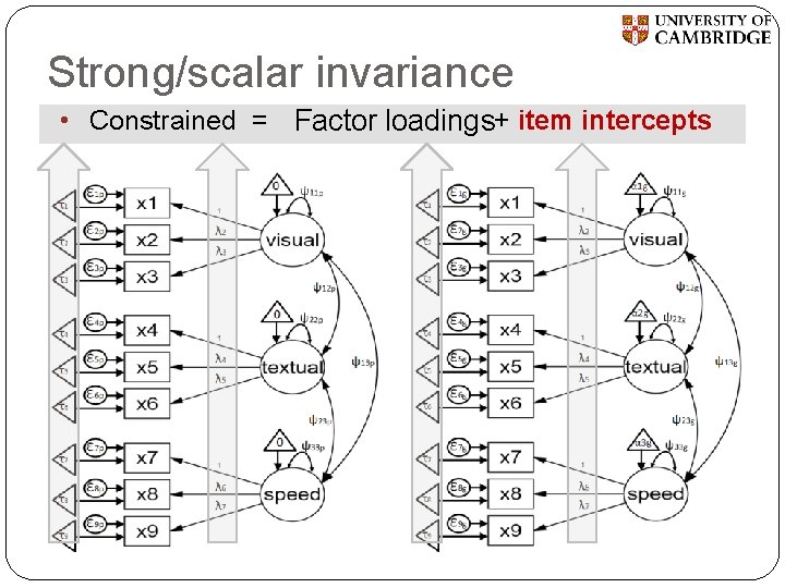 Strong/scalar invariance • Constrained = Factor loadings+ item intercepts 