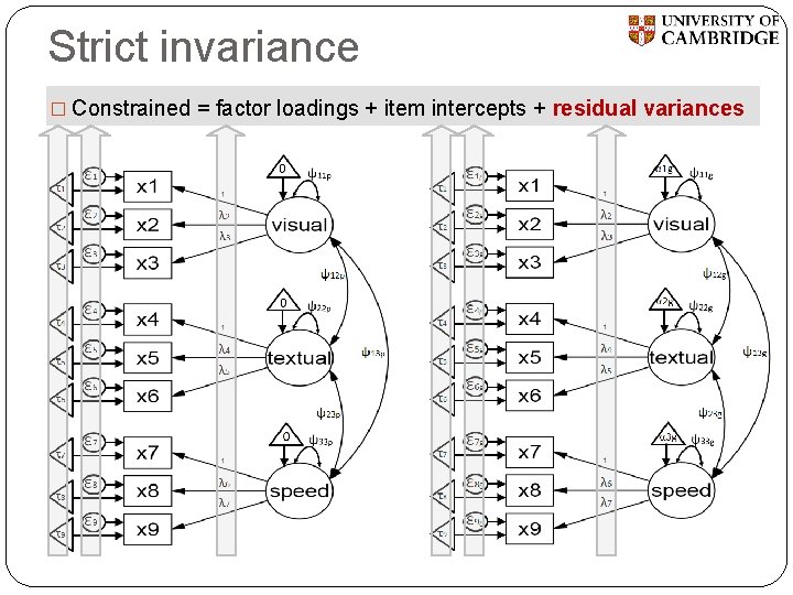 Strict invariance � Constrained = factor loadings + item intercepts + residual variances 