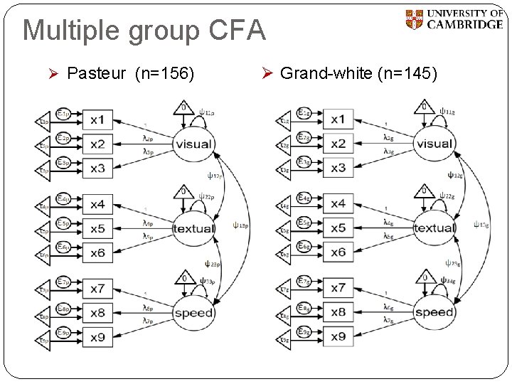 Multiple group CFA Ø Pasteur (n=156) Ø Grand-white (n=145) 