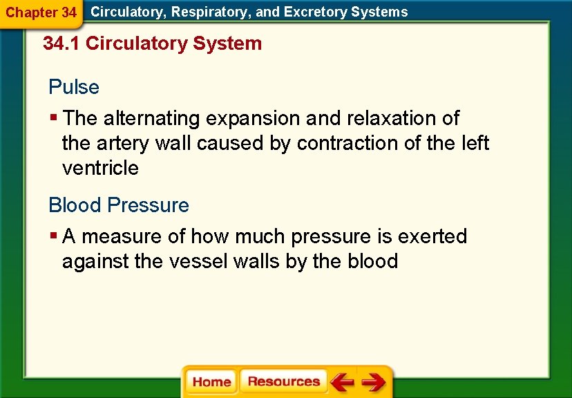 Chapter 34 Circulatory, Respiratory, and Excretory Systems 34. 1 Circulatory System Pulse § The