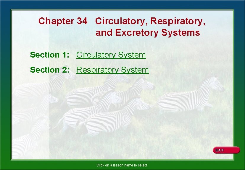Chapter 34 Circulatory, Respiratory, and Excretory Systems Section 1: Circulatory System Section 2: Respiratory