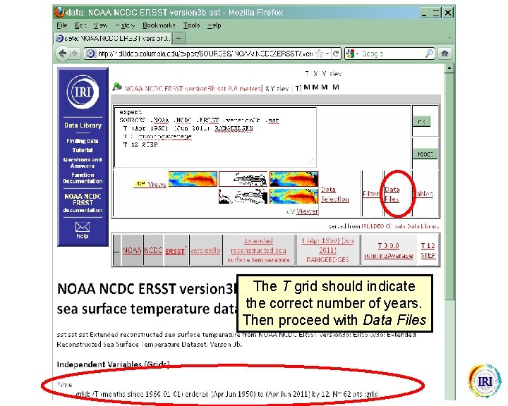 The T grid should indicate the correct number of years. Then proceed with Data