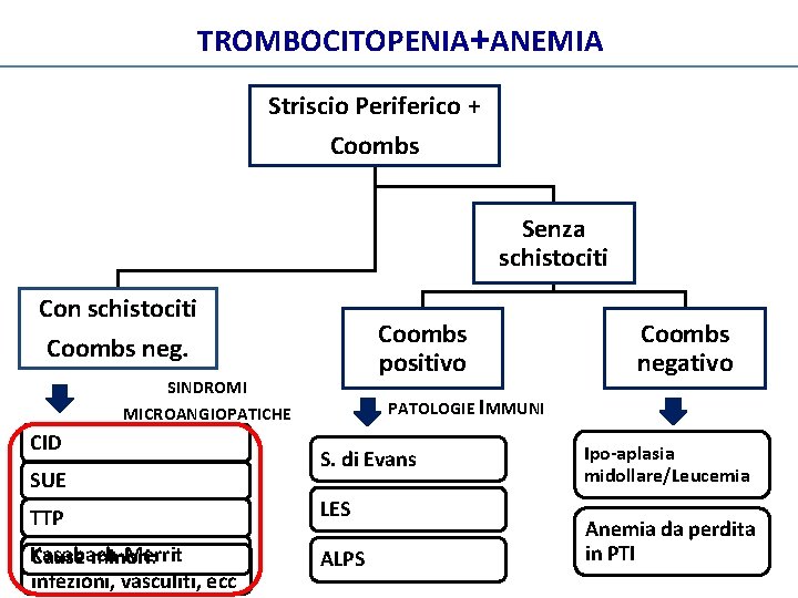 TROMBOCITOPENIA+ANEMIA Striscio Periferico + Coombs Senza schistociti Con schistociti Coombs neg. Coombs positivo SINDROMI