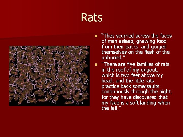 Rats “They scurried across the faces of men asleep, gnawing food from their packs,