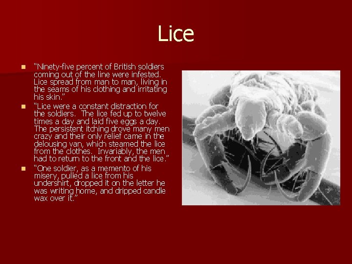 Lice n n n “Ninety-five percent of British soldiers coming out of the line