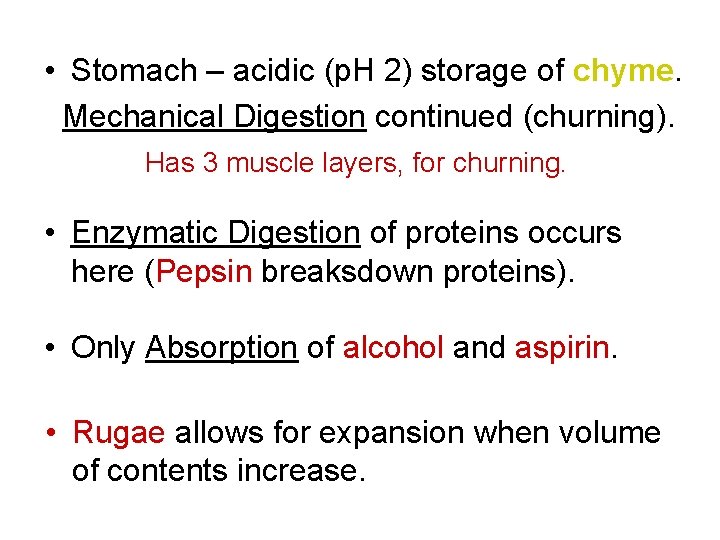  • Stomach – acidic (p. H 2) storage of chyme. Mechanical Digestion continued