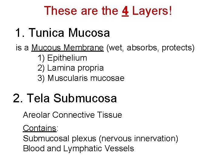 These are the 4 Layers! 1. Tunica Mucosa is a Mucous Membrane (wet, absorbs,
