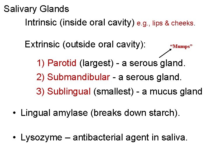 Salivary Glands Intrinsic (inside oral cavity) e. g. , lips & cheeks. Extrinsic (outside