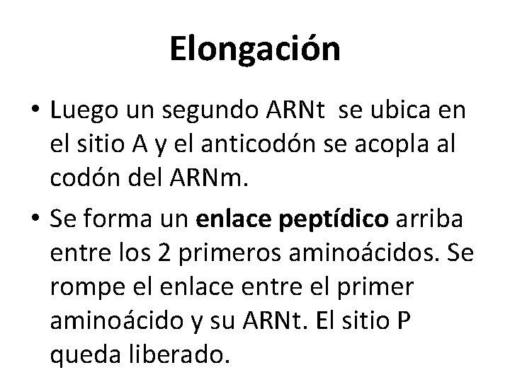 Elongación • Luego un segundo ARNt se ubica en el sitio A y el