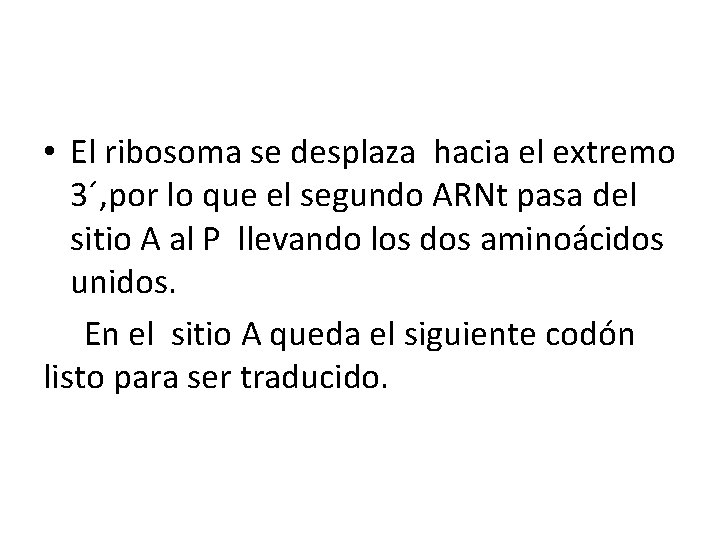  • El ribosoma se desplaza hacia el extremo 3´, por lo que el