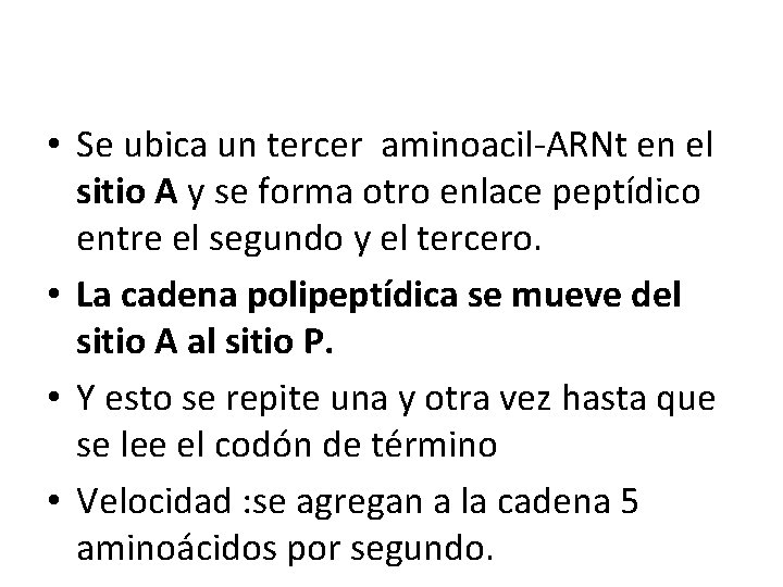  • Se ubica un tercer aminoacil-ARNt en el sitio A y se forma